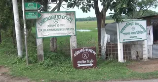 পৃথক তিন সীমান্তে বিএসএফের ৫১ জনকে ‘পুশ ইন’
